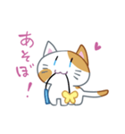 ハレねこさん（個別スタンプ：11）