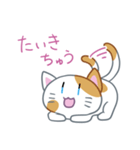 ハレねこさん（個別スタンプ：12）