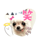 千代里はおばけになった（個別スタンプ：11）