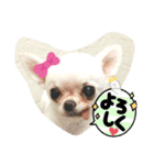 千代里はおばけになった（個別スタンプ：12）