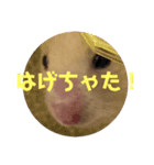うちのくまジロースタンプ（個別スタンプ：7）