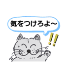 笑っちゃう猫【案外重要なフレーズ集約】（個別スタンプ：18）