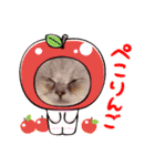 さゆゆんEveryDay（個別スタンプ：13）