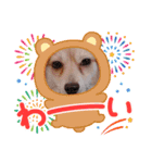 さゆゆんEveryDay（個別スタンプ：15）