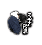 社会に打ちのめされた俺たち（個別スタンプ：23）