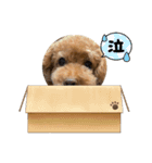 ふらんスタンプ。（個別スタンプ：15）