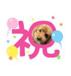 ふらんスタンプ。（個別スタンプ：16）
