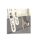 切り絵風チワワ（日常編）（個別スタンプ：12）