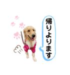 ♡シェリースタンプ♡（個別スタンプ：9）