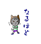 猫キッズの行動 【修正版】（個別スタンプ：2）