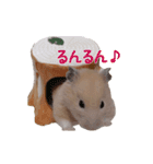 【動く】キンクマハムスターのくま子（個別スタンプ：3）