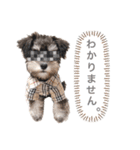 吾輩はシュナである☕︎（個別スタンプ：24）
