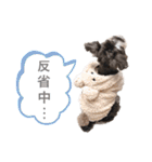 吾輩はシュナである☕︎（個別スタンプ：28）