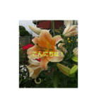 花のある生活スタンプ（個別スタンプ：2）