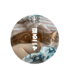 アメショのほっぺ様によるごあいさつ（個別スタンプ：12）