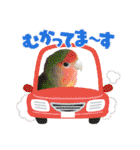 かわいい愛鳥スタンプ（個別スタンプ：8）