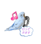 かわいい愛鳥スタンプ（個別スタンプ：11）