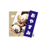 ごんざえもん スタンプ（個別スタンプ：9）