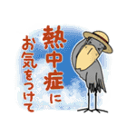 【夏】ハシビロコウと猫【デカ文字】（個別スタンプ：8）