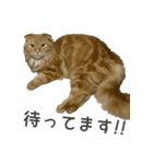 れいちゃんとななちゃん【修正版】（個別スタンプ：11）