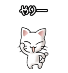 猫ねこにゃんこ その2（白）驚怒哀楽（個別スタンプ：25）