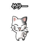 猫ねこにゃんこ その2（白黒）驚怒哀楽（個別スタンプ：25）