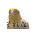 うちのカワイイちびっこたちPart15（個別スタンプ：5）