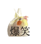 うちのカワイイちびっこたちPart15（個別スタンプ：6）