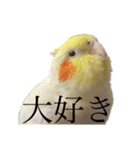 うちのカワイイちびっこたちPart15（個別スタンプ：7）