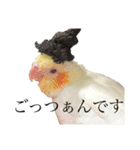 うちのカワイイちびっこたちPart15（個別スタンプ：8）