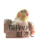 うちのカワイイちびっこたちPart15（個別スタンプ：9）