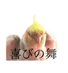 うちのカワイイちびっこたちPart15（個別スタンプ：10）