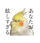 うちのカワイイちびっこたちPart15（個別スタンプ：12）