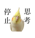 うちのカワイイちびっこたちPart15（個別スタンプ：13）