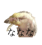 うちのカワイイちびっこたちPart15（個別スタンプ：17）