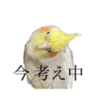 うちのカワイイちびっこたちPart15（個別スタンプ：19）