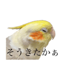 うちのカワイイちびっこたちPart15（個別スタンプ：20）