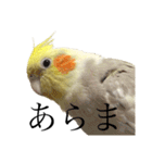 うちのカワイイちびっこたちPart15（個別スタンプ：25）