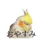 うちのカワイイちびっこたちPart15（個別スタンプ：26）
