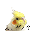 うちのカワイイちびっこたちPart15（個別スタンプ：33）
