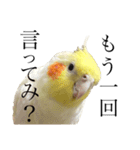 うちのカワイイちびっこたちPart15（個別スタンプ：34）