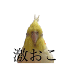 うちのカワイイちびっこたちPart15（個別スタンプ：36）