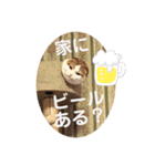 猫の風太さん（個別スタンプ：8）