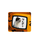関西弁ハチワレ猫ライチ君（個別スタンプ：2）