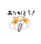 敬語可愛いハムと女の子の日常用語（個別スタンプ：4）