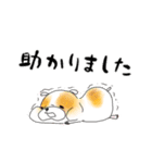 敬語可愛いハムと女の子の日常用語（個別スタンプ：13）