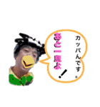 ツヨシ君のご挨拶スタンプ全集（個別スタンプ：1）