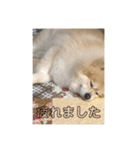 とわファン専用スタンプ（個別スタンプ：14）