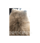 とわファン専用スタンプ（個別スタンプ：18）