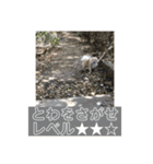 とわファン専用スタンプ（個別スタンプ：24）